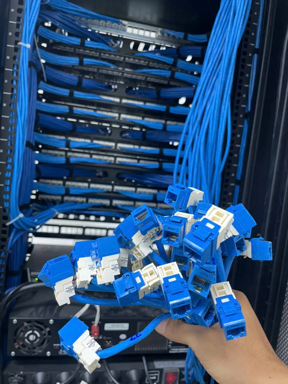 Panduit da nang