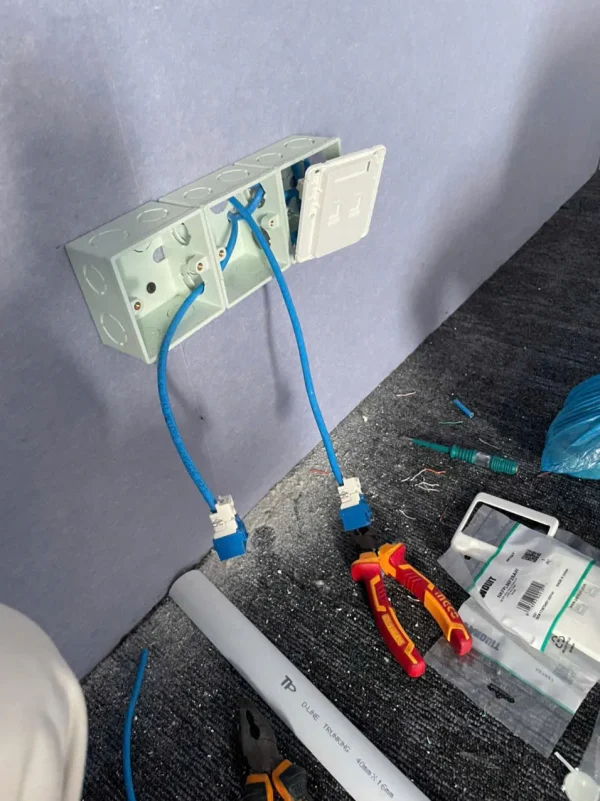 NHÂN MẠNG CAT6 PANDUIT - NK6TMBU - BLUE - Hình ảnh 5
